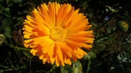 20130903_113629[1].jpg