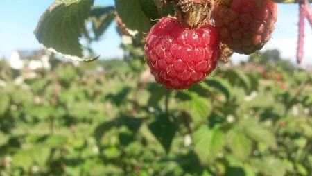 20130903_114248[1].jpg
