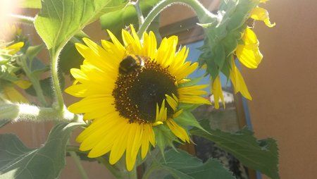 20130903_114501[1].jpg