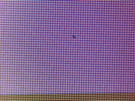 n7-pixel.jpg