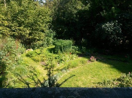 IMG_20130906_134156.jpg