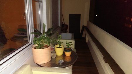 IMAG0131.jpg