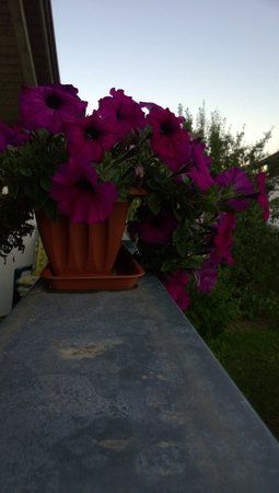 WP_20130909_001.jpg