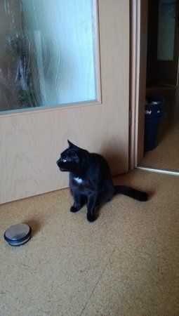 WP_20130909_002.jpg