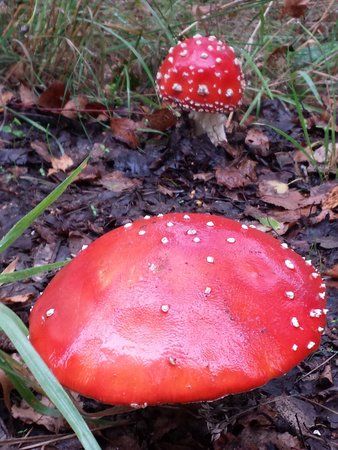 20130918_102558.jpg