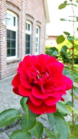 IMG_20130708_121331-1.jpg