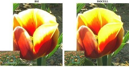 untitled-1-1379989137.jpg