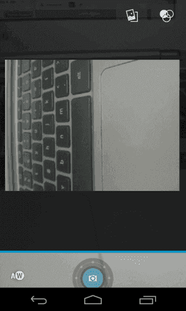 focal-2-300x500.png