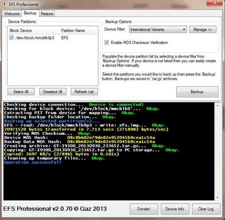 efs success 30.09.2013.jpg