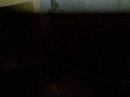 2011-01-23_17-15-24_54.jpg