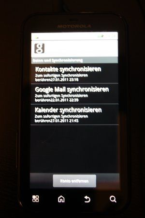 IMG_6589.jpg