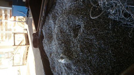 DSC_0027.jpg