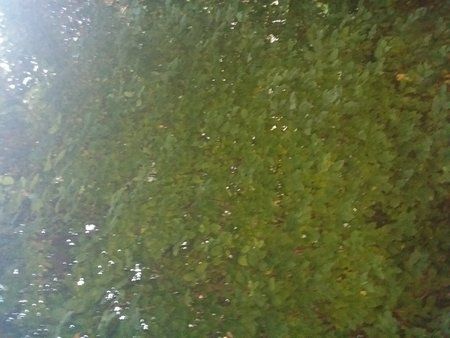 20131003_185651.jpg