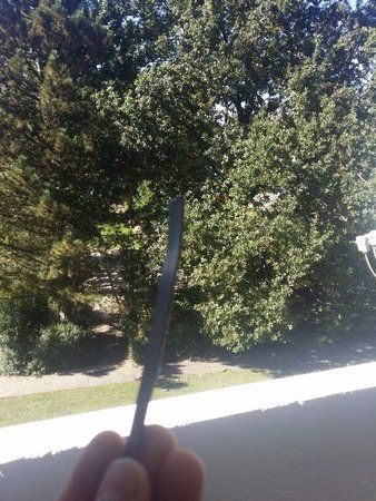 20131003_1300462gu9u.jpg