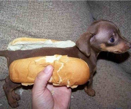 Hot Dog_23.jpg