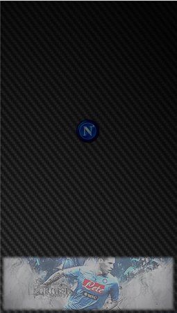 hamsik_color_matt[1].jpg