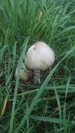 2013-10-06 15.03.49_1.jpg