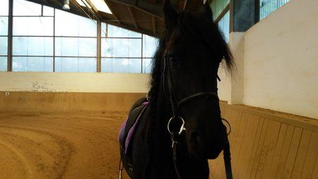 2013-10-08 15.15.04.jpg