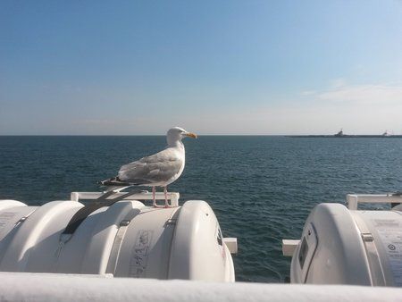 20130825_154841-1.jpg
