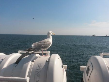 20130825_154845-1.jpg
