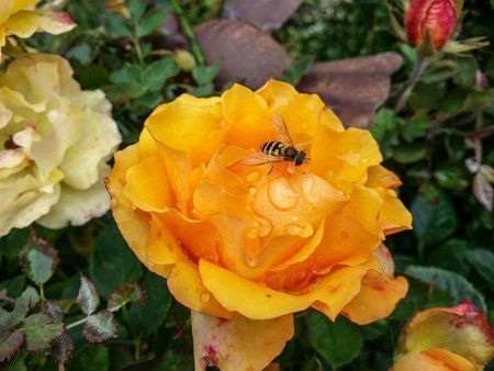 20131012_120040-2.jpg