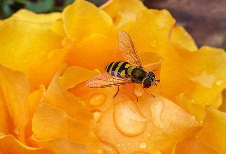 20131012_120040-1.jpg