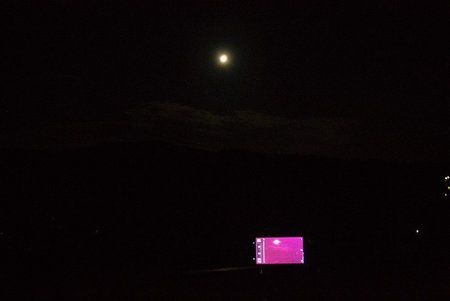 IMG_1800.jpg