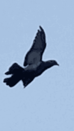Screenshot_2013-10-14-15-19-18.png