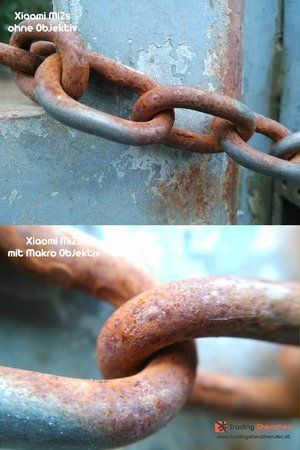 Makro06.jpg