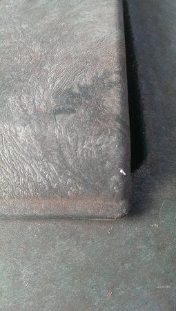 IMAG0450.jpg