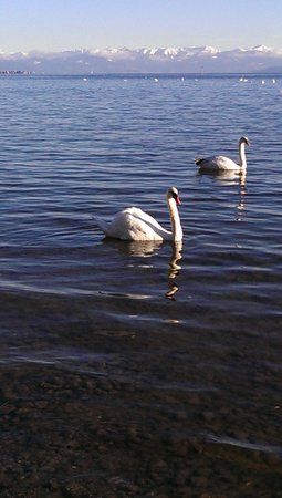 IMAG0149.jpg