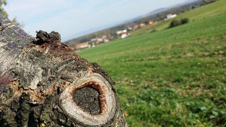 CameraZOOM-20131020132638143.jpg