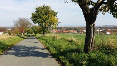 CameraZOOM-20131020132427123.jpg