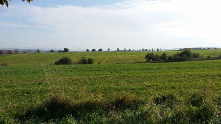 CameraZOOM-20131020132423670.jpg