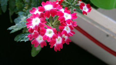 20131022_150123.jpg