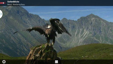 uploadfromtaptalk1382524861196.jpg