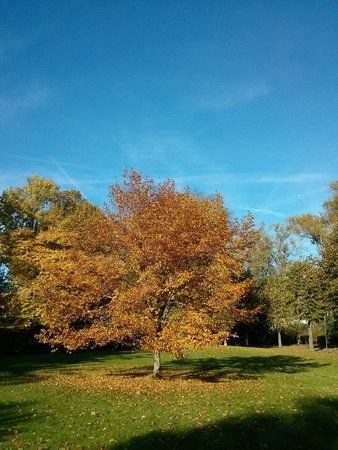 IMG_20131019_104437.jpg