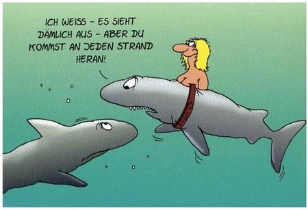 http___uhrforum.de_attachments_267815d1310116293-lustige-bilder-videos-fotos-witze-urlaub.jpg