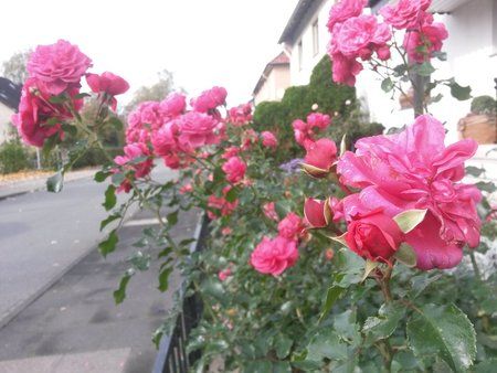 20131021_172003.jpg