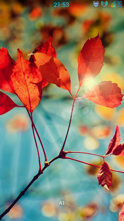 Screenshot_2013-10-28-21-53-17[1].png