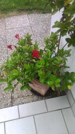 IMG_20131027_112420.jpg