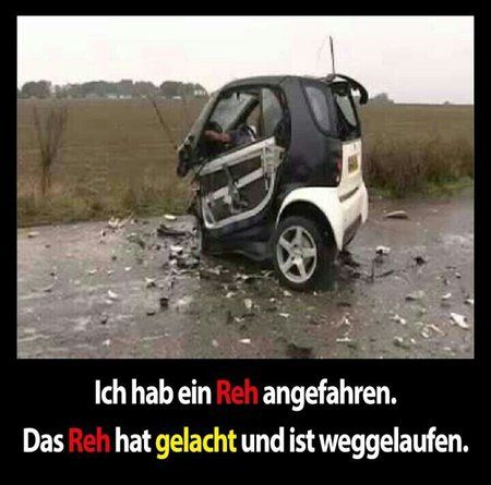 uploadfromtaptalk1383202339863.jpg