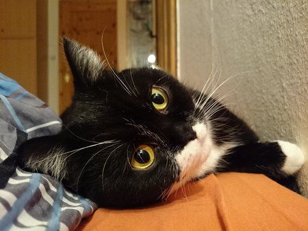 DSC_0634.jpg