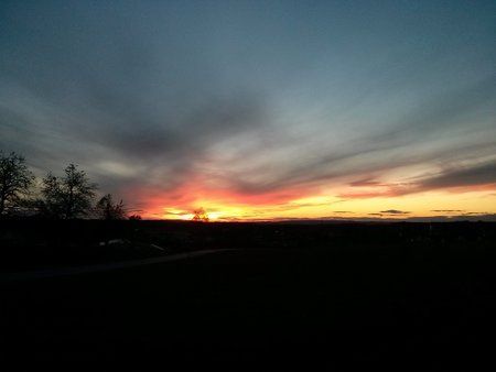 IMG_20131107_171122.jpg