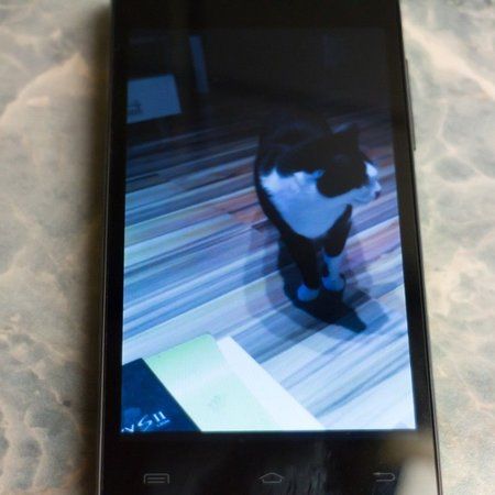 X9_Display-2.jpg