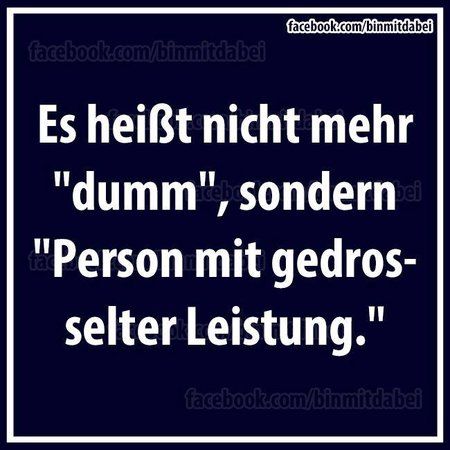 Bild5.jpg