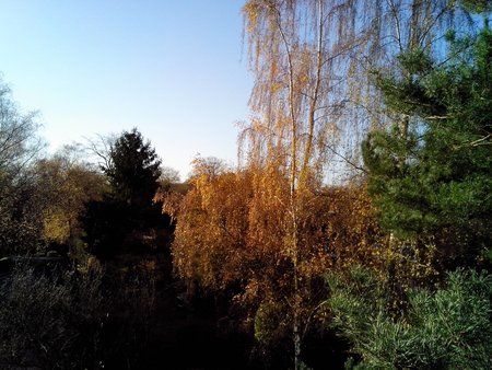 IMG_20130228_190522.jpg