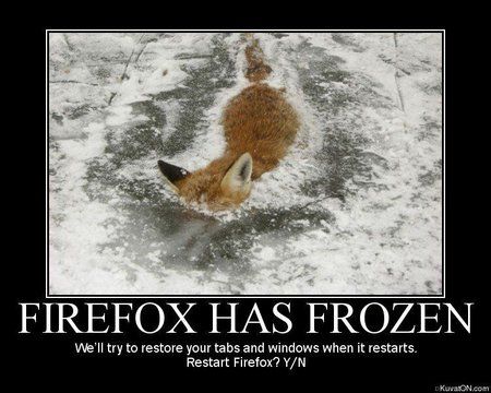 Firefox.jpg