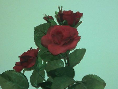2011-02-08_17-41-22_218.jpg