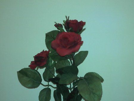 2011-02-08_17-41-53_693.jpg